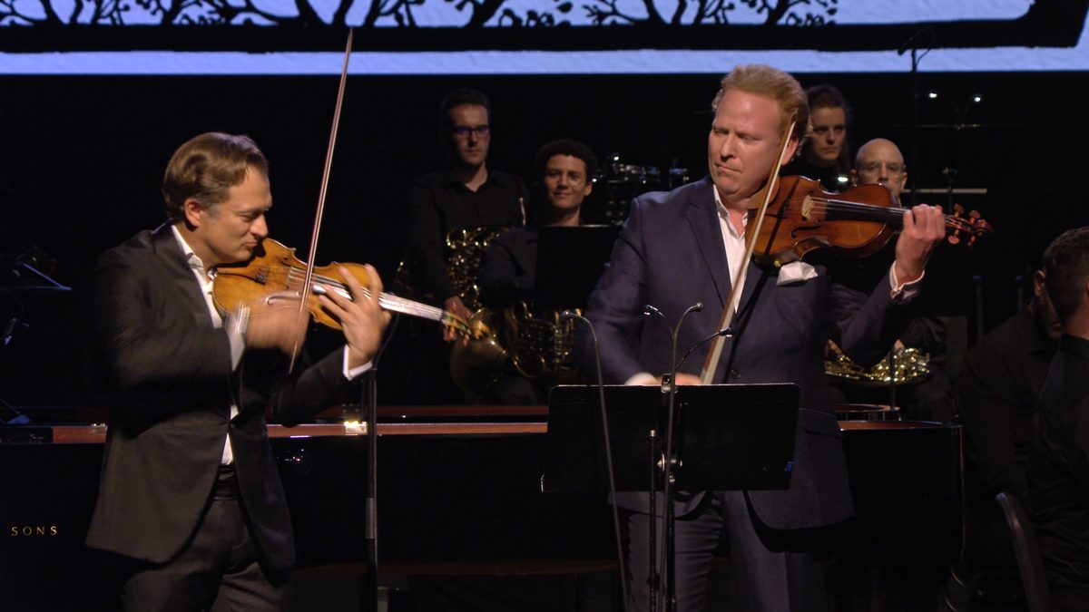 Saint-Saëns: Le Carnaval des animaux - Verbier Festival Chamber Orchestra, Mathieu Herzog